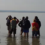 Charmante Maison De Pêcheur En Baie Du Mont Saint Michel Genêts