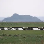 Charmante Maison De Pêcheur En Baie Du Mont Saint Michel Genêts