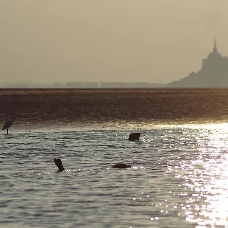 Charmante Maison De Pecheur En Baie Du Mont Saint Michel