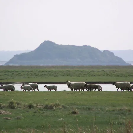 Charmante Maison De Pecheur En Baie Du Mont Saint Michel Genêts