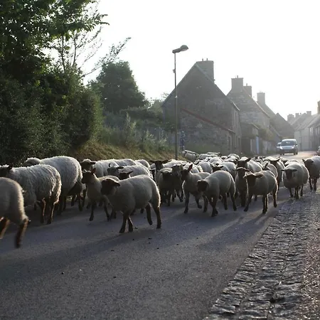 Charmante Maison De Pecheur En Baie Du Mont Saint Michel بيت للعطل Genêts
