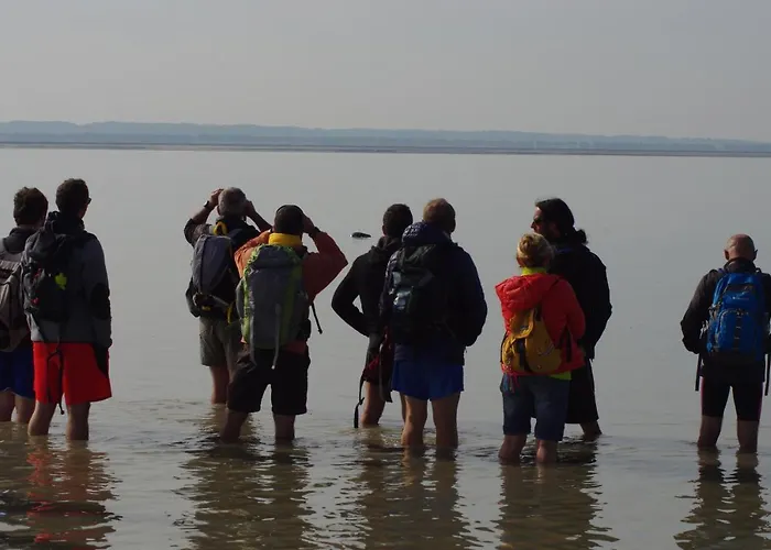 Charmante Maison De Pecheur En Baie Du Mont Saint Michel Genêts