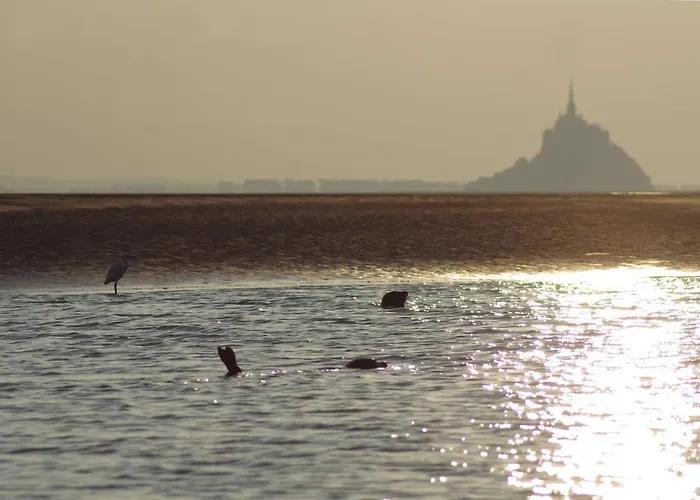 Charmante Maison De Pecheur En Baie Du Mont Saint Michel