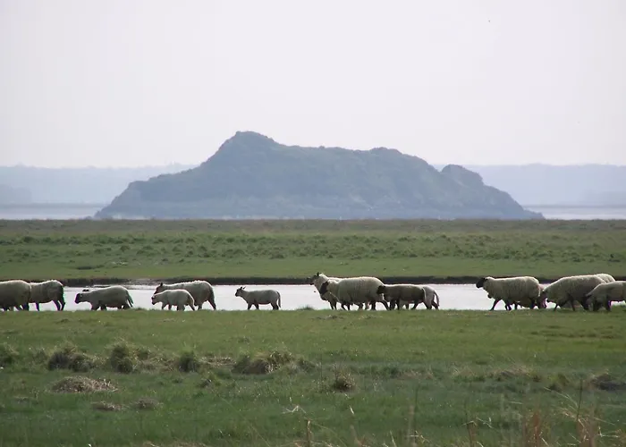 Charmante Maison De Pecheur En Baie Du Mont Saint Michel Genêts